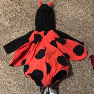 Adorable Ladybug Costume